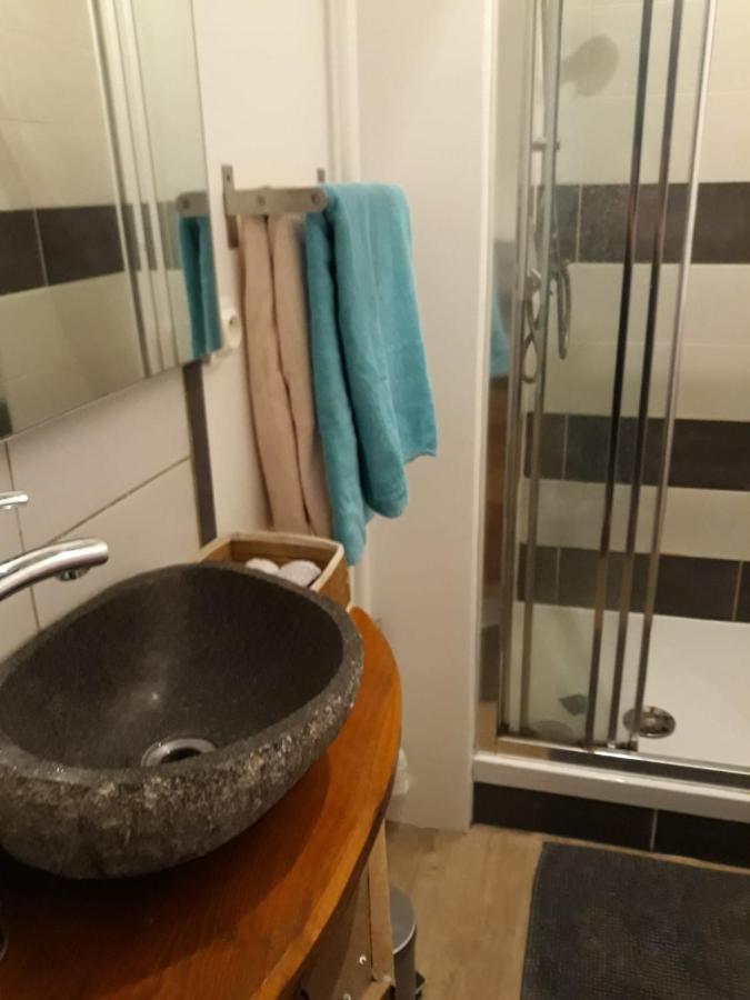 Le Langevin - Appartement Troyes Centre מראה חיצוני תמונה
